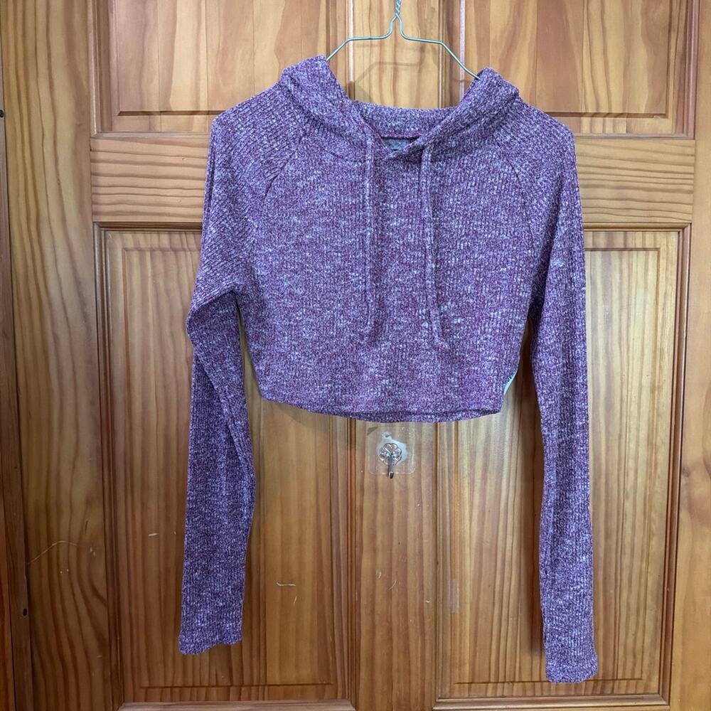 Women's Gym shark Cropped Heathered Purple Long Sleeve Hoodie Size Small